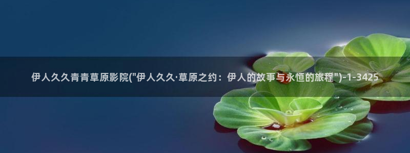 伊人宗和网视频